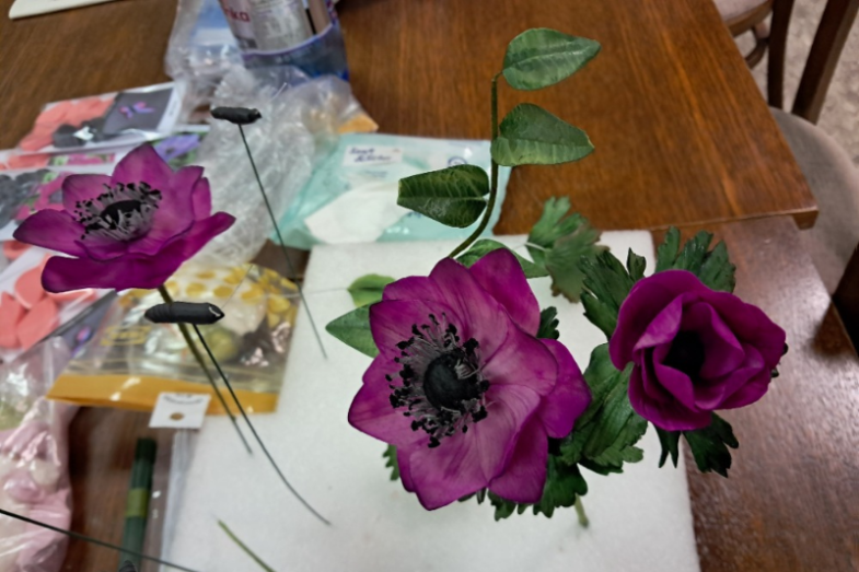 Sladké setkání v Nasavrkách 2025, foto: Lucie Hrodějová