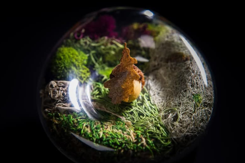 Ateliér Crenn, fotografie: Facebook Atelier Crenn